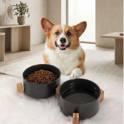 PETSIN Non-Slip Ceramic Double Pet Food Bowl For Cats And Dogs - Prevents Spills And Slips, Easy To Clean And Durable