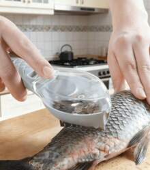 Manual Fish Scaler With Transparent Lid And Integrated Scale Collector Professional Kitchen Tool For Cleaning Fish Without Messing Up The Bar Durable Plastic Scale Remover With Ergonomic Handle And Creative Design For Seafood Preparation In Mexico Ideal For Mojarra Tilapia And Huachinango Modern Kitchen Gadget That Prevents Scales From Flying Everywhere Efficient Cleaner For The Mexican Home Export Quality Durable And Easy To Wash Under The Faucet Essential Accessory For Fresh Fish Lovers Cutting-Edge 2026 Tool For A Clean And Tidy Kitchen Without Scale Splashes On Clothes Or Sink High-Density Food Preparation Tool That Does Not Damage The Fish Skin Essential Seafood Cleaning Kit For The Kitchen Homes That Seek Speed. - 青藍色 - 查看 1