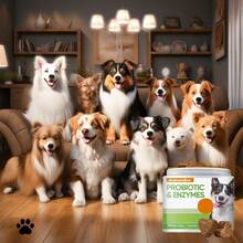 Probiotic Supplements For Dogs -120 Chewable Tablets To Enhance Dogs' Immunity, Suitable For All Varieties Of Probiotic Dog Food - 1 - 查看 11