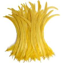 100根公鸡尾羽，25-35厘米/10-14英寸，适用于嘉年华派对表演服装装饰、DIY头饰羽毛、婚礼装饰头饰羽毛 - 彩色 - 查看 9