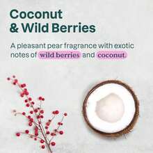 Carpet Fresh Rug And Room Deodorizer With Baking Soda, Mountain Essence Fragrance, 14 OZ - 14 Ounce (Pack Of 1) - View 2