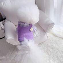 2pcs Pet Dog/Cat Clothes, Cute Shirt & Sweater Set, Suitable For Small Dogs And Cats, Spring/Autumn/Winter