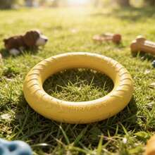 1pc Outdoor Dog Floating Ring Toy, Pet Chew Toy, Suitable For Small, Medium And Large Dogs, For Training, Fetch And Interactive Play, Floating Water Toy, Suitable For Swimming (7.08 Inches/18cm) - Multicolor - View 1