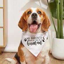 1pc Pet Triangular Bandana Bib, Dog Cat Triangle Scarf Collar, Suitable For Engagement Party, Wedding And Other Occasions, My Owner Is Getting Married - Multicolor - View 8