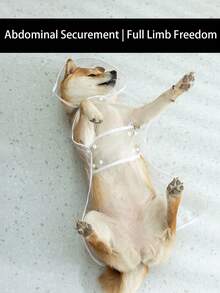 1pc Pet Raincoat - Waterproof & Windproof Pet Apparel. This Transparent Pet Raincoat Features A Wide-Brim Design That Does Not Obstruct The Pet's Vision. Available In Small Dog Waterproof & Windproof Version And Large Dog Raincoat Version. - Pink - View 8