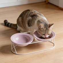Ceramic Slanted Dual Bowls Cat Bowl, Raised To Prevent Neck Strain And Spilling, For Cats And Dogs