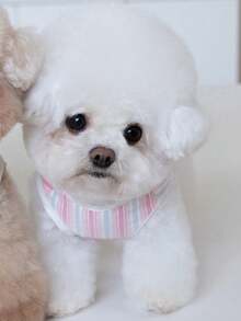 1pc Multi-Color Striped Pet Vest, Suitable For Cats And Dogs - Pink - View 7