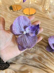 1对女士情人节新款兰花鞋夹，优雅海滩度假风鞋饰，适用于凉鞋、高跟鞋、人字拖，是海滩拍照的理想之选，也是母亲节礼物。 - 彩色 - 查看 7