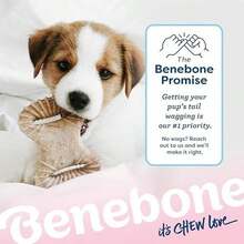 Benebone Puppy 2-Pack Dental Chew/Wishbone Dog Chew Toys, Made In USA, Real Bacon Flavor - Wishbone/Dental - Gà con tí hon - Gói 2 con - Xem 6