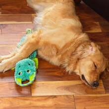 Outward Hound Ropiez Rope Interactive Dog Tug Toy For Tugging Squeaky Fun, 21 Inch Dragon, Blue, Medium - MàuA - Xem 4