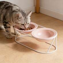Ceramic Slanted Dual Bowls Cat Bowl, Raised To Prevent Neck Strain And Spilling, For Cats And Dogs