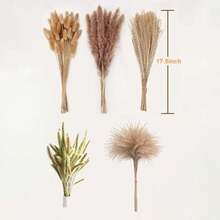 Genérico 150 Piezas de Colas de Conejo y Hierba Pampas – Decoraciones Florales de Estilo Bohemio, para Decoración de Hogar, Sala, Dormitorio y Bodas (Sin Mantenimiento, Jarrón No Incluido)(default) - Multicolor - Ver 4
