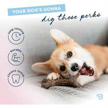 Benebone Puppy 2-Pack Dental Chew/Wishbone Dog Chew Toys, Made In USA, Real Bacon Flavor - Stick - Small-REAL Maplewood-1 Pack - 查看 3