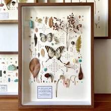 1个3D镂空亚克力干花展示架，加厚塑料框架礼品DIY标本干花展示框，悬浮透明双面桌面展示框，婚礼节日礼物 - 彩色 - 查看 7