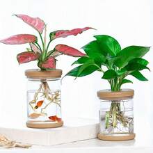 植物繁殖台，客厅卧室独立式桌面花瓶，婚礼、情人节、母亲节装饰花瓶…… - 無色 - 查看 4