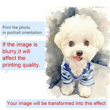 定制宠物肖像，水彩狗狗肖像，个性化狗狗画作，母亲节礼物，狗狗纪念水彩画 - 彩色 - 查看 14
