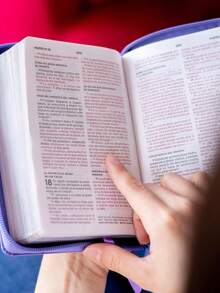 NBLA, Santa Biblia, Edición versificada, Tamaño bolsillo, Leathersoft, Morado, Con cierre, Palabras de Jesús en rojo, Comfort Print (Leather Bound) - Libro único - Ver 3