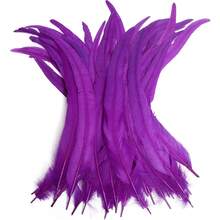 100根公鸡尾羽，25-35厘米/10-14英寸，适用于嘉年华派对表演服装装饰、DIY头饰羽毛、婚礼装饰头饰羽毛 - 彩色 - 查看 23
