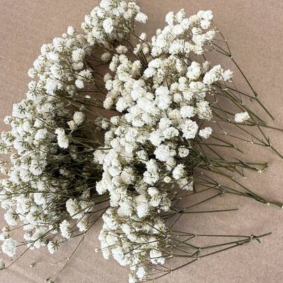 20/50/100/150/300pcs Mini Gypsophila & Other Dried Flowers - For Resin Mold Art And Handicrafts, Ivory White Bouquet For Hair Accessories, Wedding Wreaths, Table Decorations, Home Decor