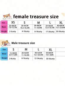 Pet Dog Diapers, Puppy Diapers, Suitable For Toy Poodle, For Pet Menstrual Period, Protect Pet Health, Best Birthday Gift For Happy Puppy, Pet Supplies, Pet Diapers - Multicolor - View 2