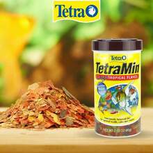 Alimento min Flakes para Peces con 80 Gramos,39519927 - Multicolor - Ver 5