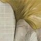 Mustard Yellow