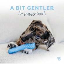 Benebone Puppy 2-Pack Dental Chew/Wishbone Dog Chew Toys, Made In USA, Real Bacon Flavor - Rubber - Tiny-REAL Bacon-2 Pack - 查看 2