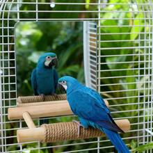 1 peça de poleiro de madeira para papagaio com corda de sisal, espelho de acrílico, brinquedo de treinamento para pássaros, plataforma de escalada minimalista em escada de madeira, adequado para pássaros o ano todo - Multicolorido - Ver 1