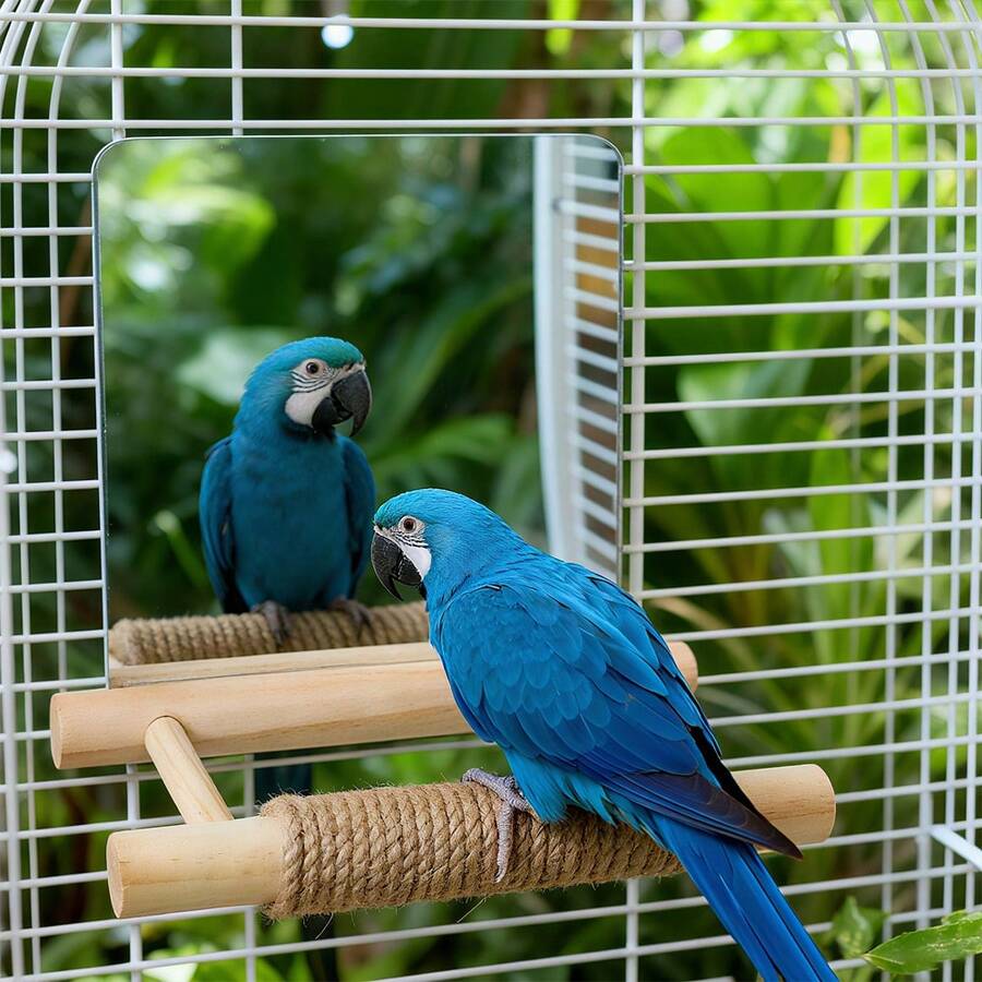 1 peça de poleiro de madeira para papagaio com corda de sisal, espelho de acrílico, brinquedo de treinamento para pássaros, plataforma de escalada minimalista em escada de madeira, adequado para pássaros o ano todo - Multicolorido - Ver 1