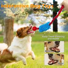 1pc Dog Chew Toy, Outdoor Interactive Toy, Puppy Training Toy, Funny Dog Squeaky Toy - Multicolor - View 6