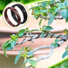 Fili per modellare e formare le piante bonsai, accessori per bonsai per il controllo dei rami e la modellatura delle piante - Multicolore - Visualizzare 4