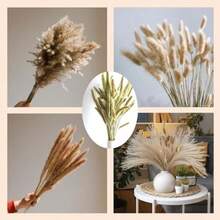Genérico 150 Piezas de Colas de Conejo y Hierba Pampas – Decoraciones Florales de Estilo Bohemio, para Decoración de Hogar, Sala, Dormitorio y Bodas (Sin Mantenimiento, Jarrón No Incluido)(default) - Multicolor - Ver 5