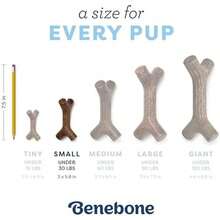 Benebone Puppy 2-Pack Dental Chew/Wishbone Dog Chew Toys, Made In USA, Real Bacon Flavor - Stick - Small-REAL Maplewood-1 Pack - 查看 4
