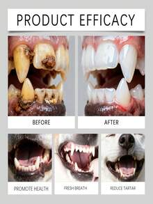 狗狗牙齿喷雾 - 温和护理，清洁口腔，保持口气清新，日常护理喷雾；宠物口腔护理液 - 温和清洁宠物牙垢，清新口气，清洁牙齿 - 彩色 - 查看 3