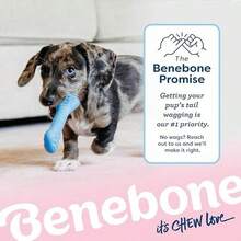 Benebone Puppy 2-Pack Dental Chew/Wishbone Dog Chew Toys, Made In USA, Real Bacon Flavor - Rubber - Tiny-REAL Bacon-2 Pack - 查看 6