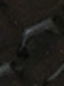 酒红色露跟高跟凉鞋，新款粗跟尖头设计，透气舒适，适合搭配连衣裙，大码尺码 - 黑色 - 查看 3