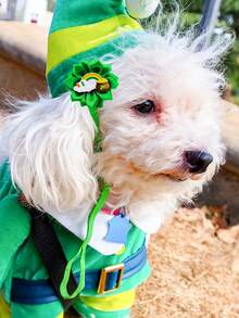 6个绿色三叶草圣帕特里克节迷你宠物专用头箍发饰，非常适合日常小狗装饰、摄影和旅行装饰，款式随机。 - 彩色 - 查看 3