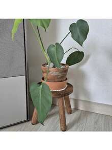 1pc Modern Solid Wood Round Step Stool - Sturdy Adult Foot Rest And Plant Stand, Multipurpose, Natural Finish, Suitable For Home Decor, Multifunctional Footstool | Modern Footstool | Polished Finish