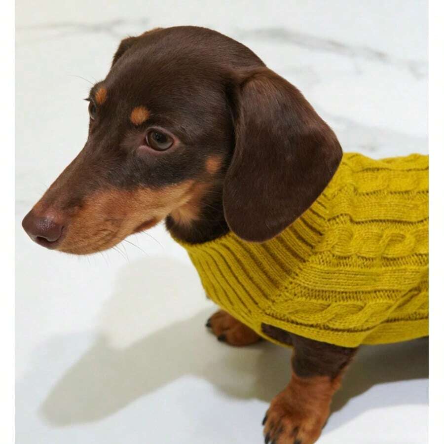 2026新款宠物毛衣,英伦风,腊肠犬毛衣,小型犬猫服装,秋冬保暖服,可爱简约设计,适合贵宾犬、柯基犬、泰迪犬等小型犬,防掉毛,短腿犬猫保暖 - 芥末黃 - 查看 1