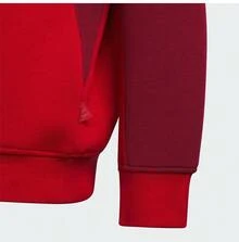 ADIDAS KIDS Tween Boy Hoodie And Pants Set, JN4385 - Red - View 9