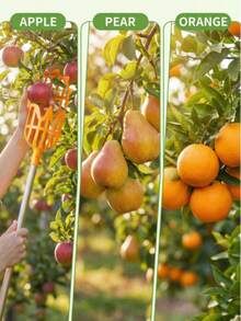 1个塑料高空采摘工具，配有轻质塑料制成的笼状网袋。用于从高处/树枝上采摘水果/户外采摘水果。操作轻松省力，易于瞄准。是一款户外园艺采摘工具。 - 黃色 - 查看 6