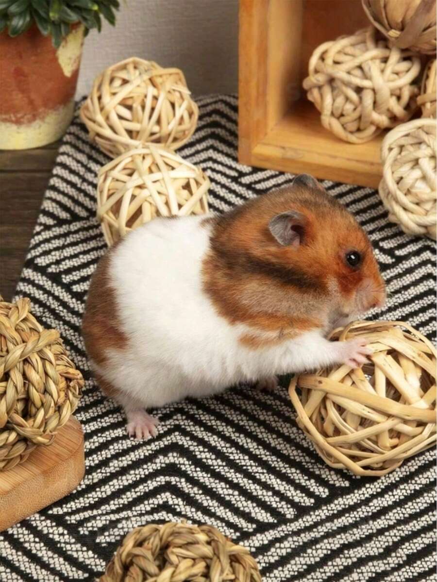 4/8个随机小动物游戏球，磨牙草球和滚动磨牙玩具，适用于兔子、豚鼠、仓鼠、沙鼠、小鼠和其他宠物，改善宠物牙齿健康 - 彩色 - 查看 1