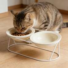 Ceramic Slanted Dual Bowls Cat Bowl, Raised To Prevent Neck Strain And Spilling, For Cats And Dogs