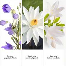 Women's Light Luxury Perfume 3-Piece Set - Fresh Scent, Long-Lasting Fragrance - Valentine's Day, Best Gift For Ladies For Christmas, Portable Travel Size - Gift Box Set - 甜美風 - 查看 3