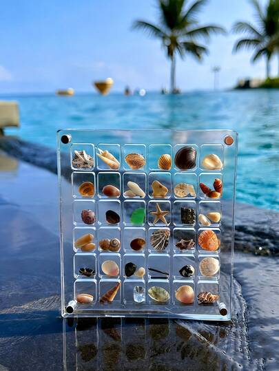 Acrylic Magnetic Shell Display Box, Shell Storage Box, Suitable For Starfish Shell Storage, Jewelry, And Festive Items, Beach Room Decoration, High-Transparency Box Strong Magnet Acrylic Storage Box, Magnetic Shell Display Box, Room Decor, Travel Essential, Jewelry, Seafood Boil, Mothers Day, Graduation Gifts