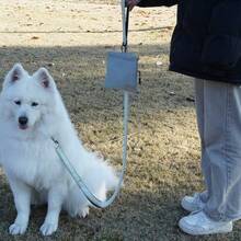 Outdoor Dog Walking Pet Snack Bag, Waterproof Canvas Dog Poop Bag Dispenser With Elastic Clip, Dog Food Bag - Multicolor - View 9