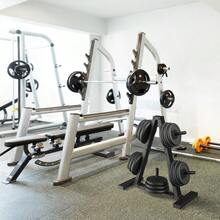 Plate Rack, Weight Tree, Weight Plate Holder, 1Inch Home Gym Storage Stand, Holds 300 Lbs - B0DNMDTHK7 - View 8