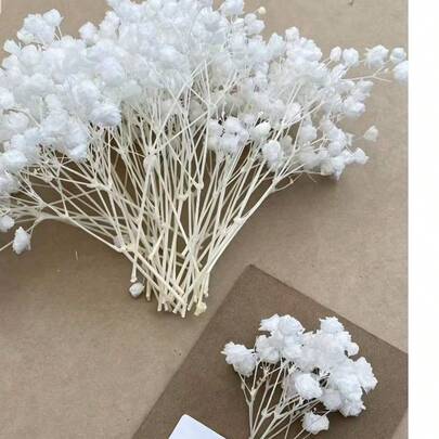 50/100支白色人造满天星花 - 精致耐用，易于DIY，适用于婚礼、家居和办公室装饰、派对和花园 - 桌面波西米亚风花环，无羽毛，无需用电，是圣诞节、感恩节和万圣节的理想圣诞装饰品，也是圣诞礼物和圣诞装饰的绝佳选择。