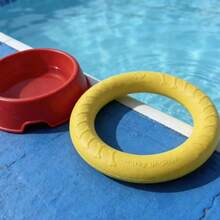 1pc Outdoor Dog Floating Ring Toy, Pet Chew Toy, Suitable For Small, Medium And Large Dogs, For Training, Fetch And Interactive Play, Floating Water Toy, Suitable For Swimming (7.08 Inches/18cm) - Multicolor - View 10