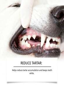 狗狗牙齿喷雾 - 温和护理，清洁口腔，保持口气清新，日常护理喷雾；宠物口腔护理液 - 温和清洁宠物牙垢，清新口气，清洁牙齿 - 彩色 - 查看 7